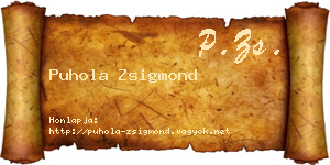 Puhola Zsigmond névjegykártya
